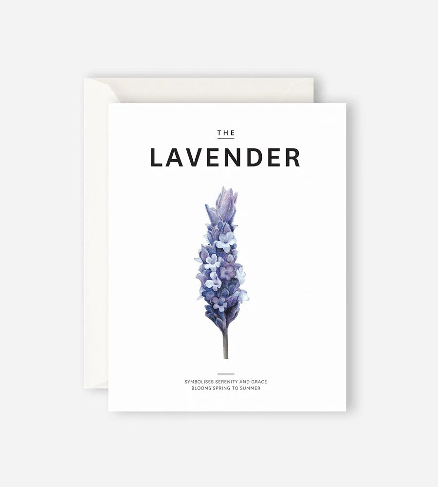 FATHER RABBIT // The Lavender Card