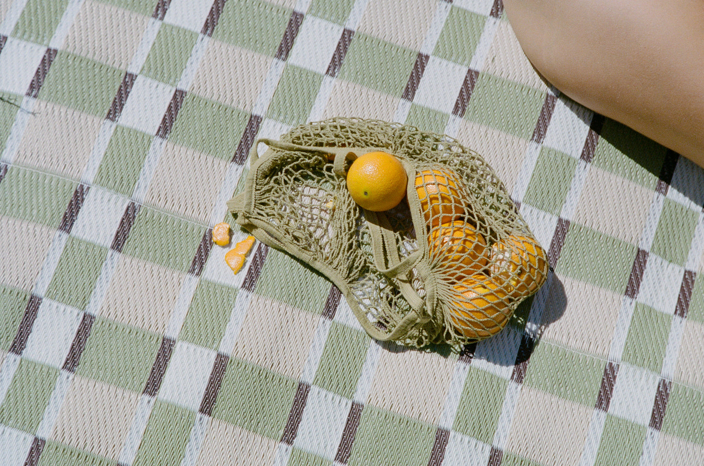 SUNNUP // FERN