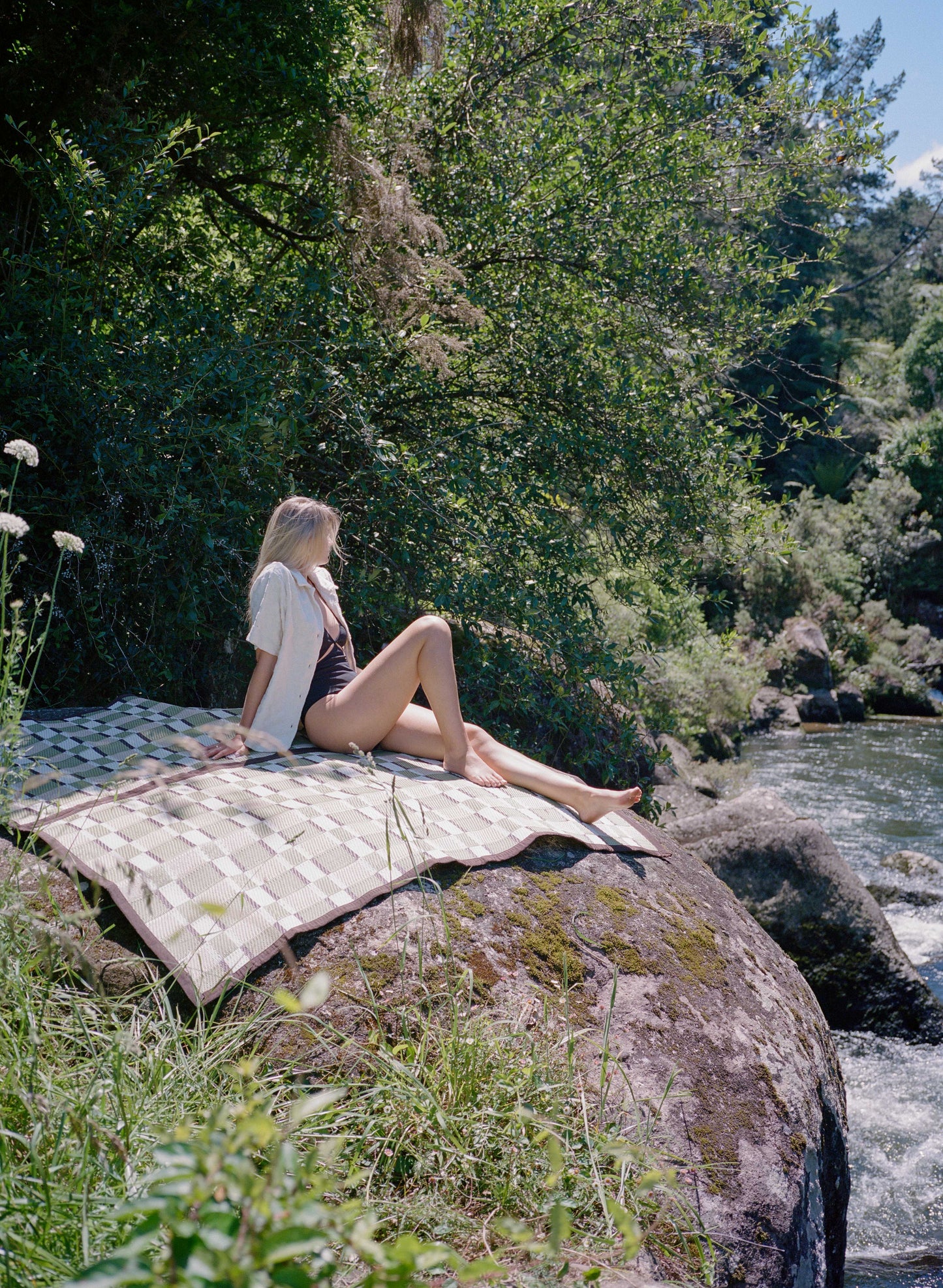 SUNNUP // FERN