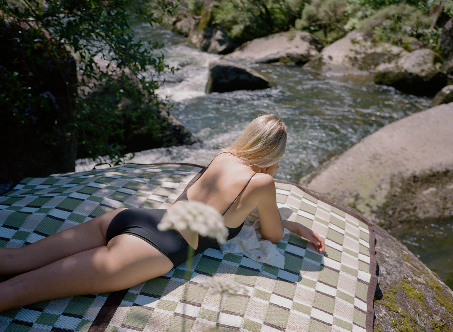 SUNNUP // FERN