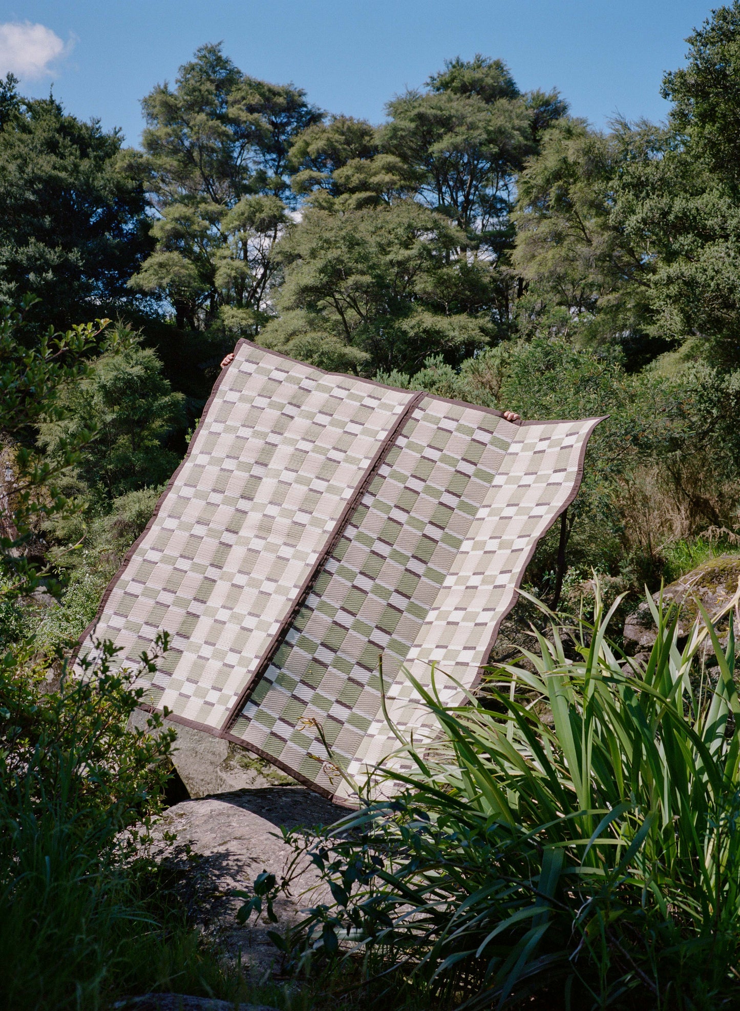 SUNNUP // FERN