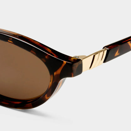 LE SPECS // Duskfall TORT