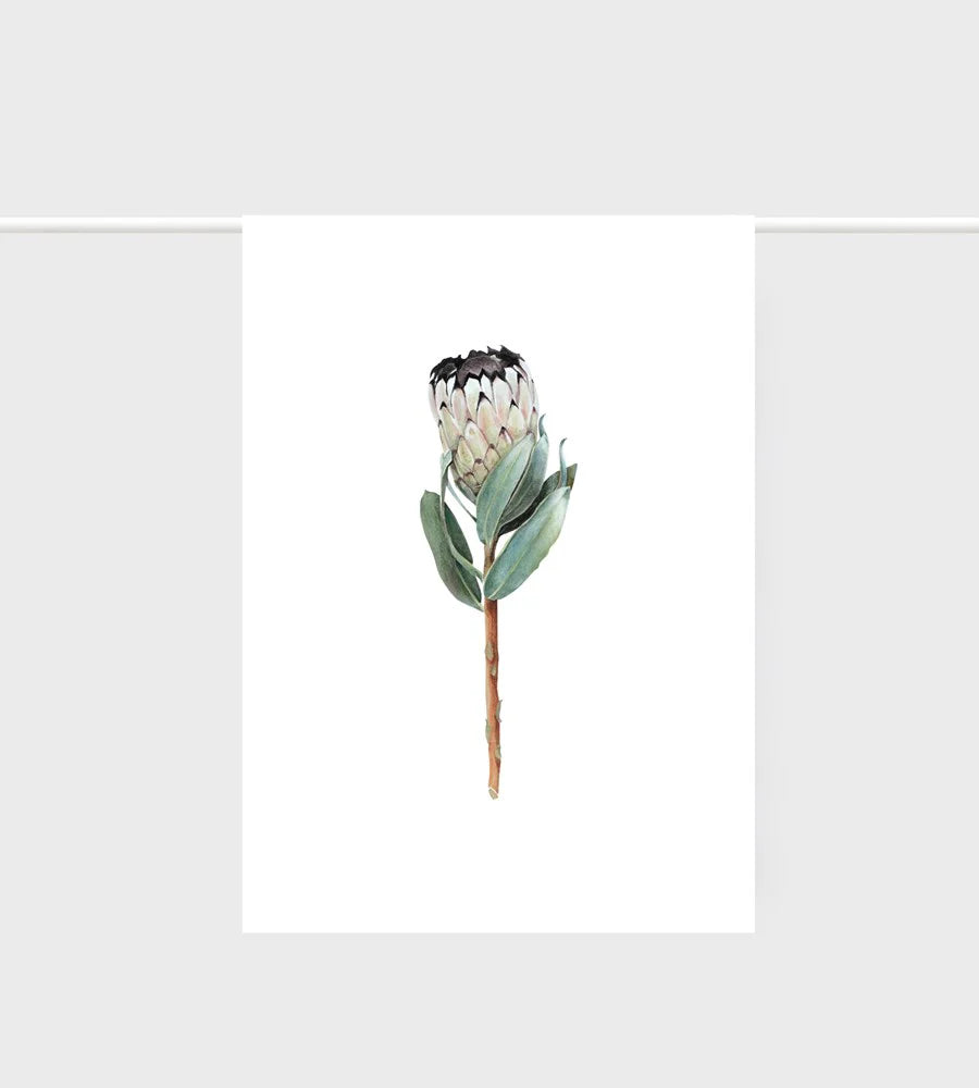 FATHER RABBIT // Protea Tea Towel