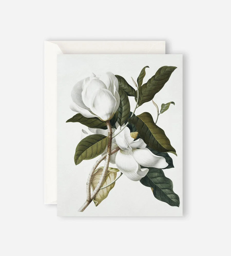 FATHER RABBIT // Gardenia Card