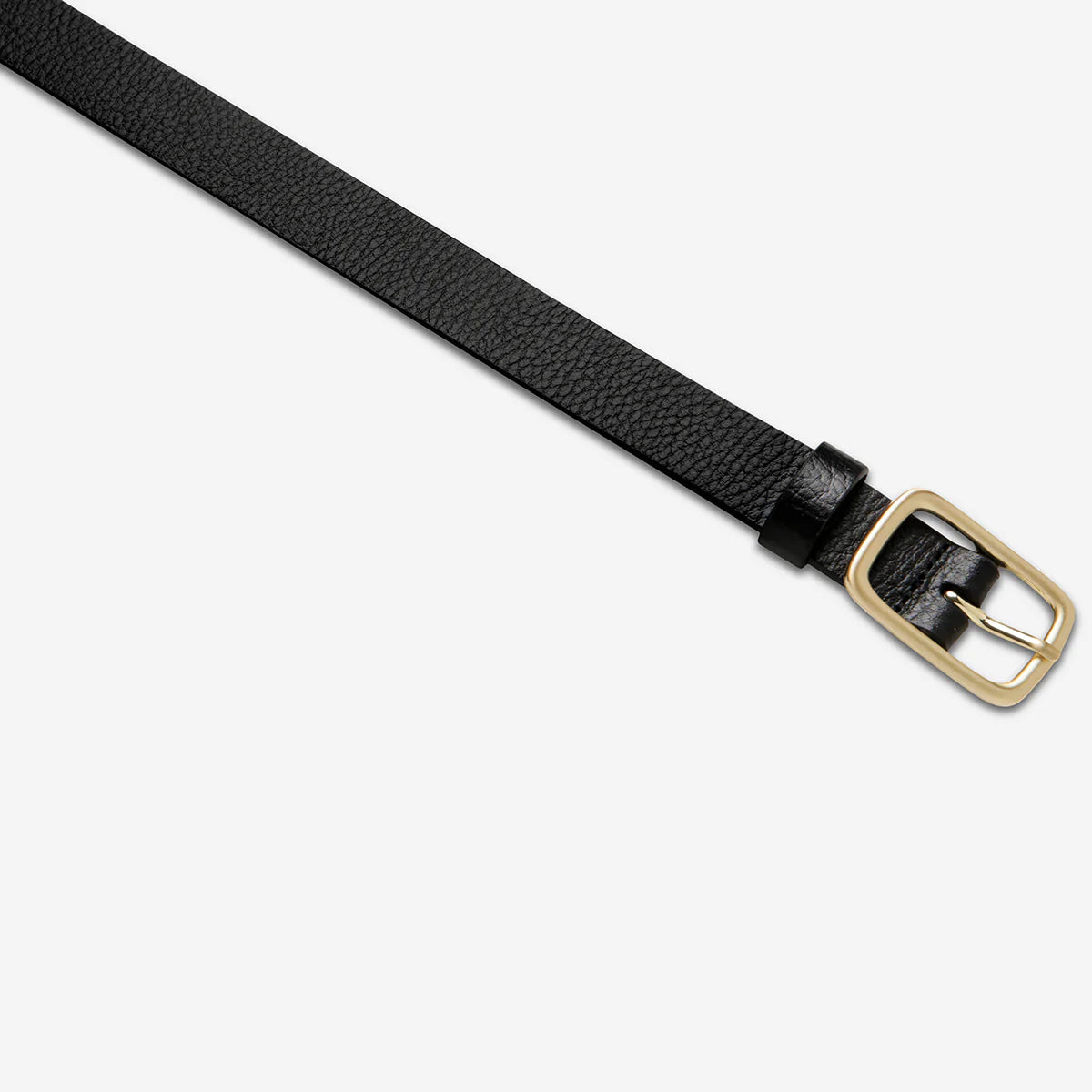 STATUS ANXIETY // Nobody's Fault BLACK/GOLD