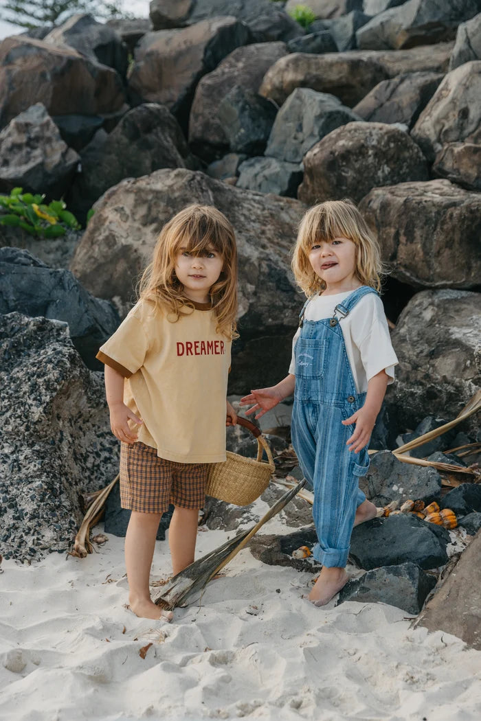 Nomad Kids Shorts BROWN CHECK