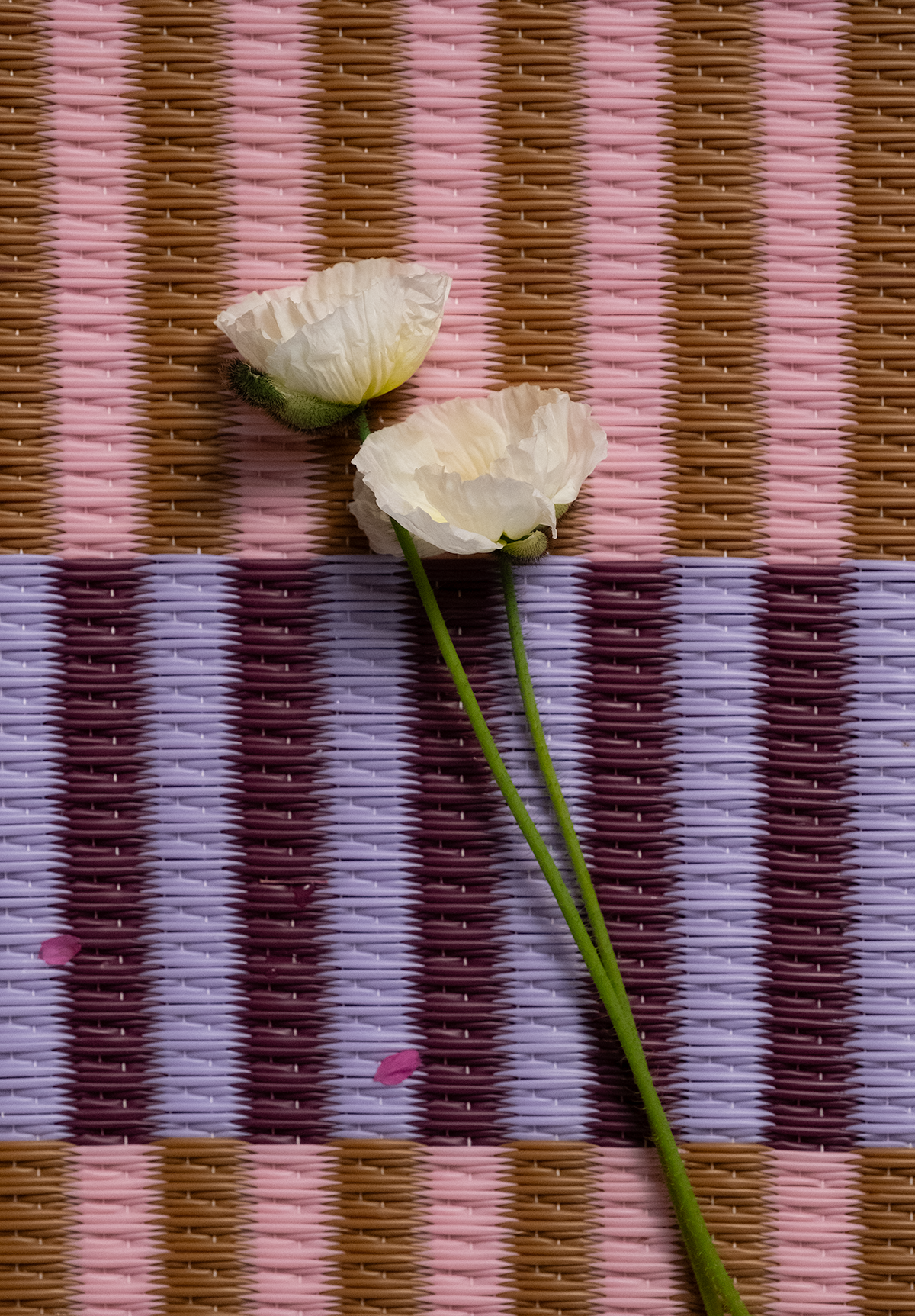 SUNNUP // SAKURA