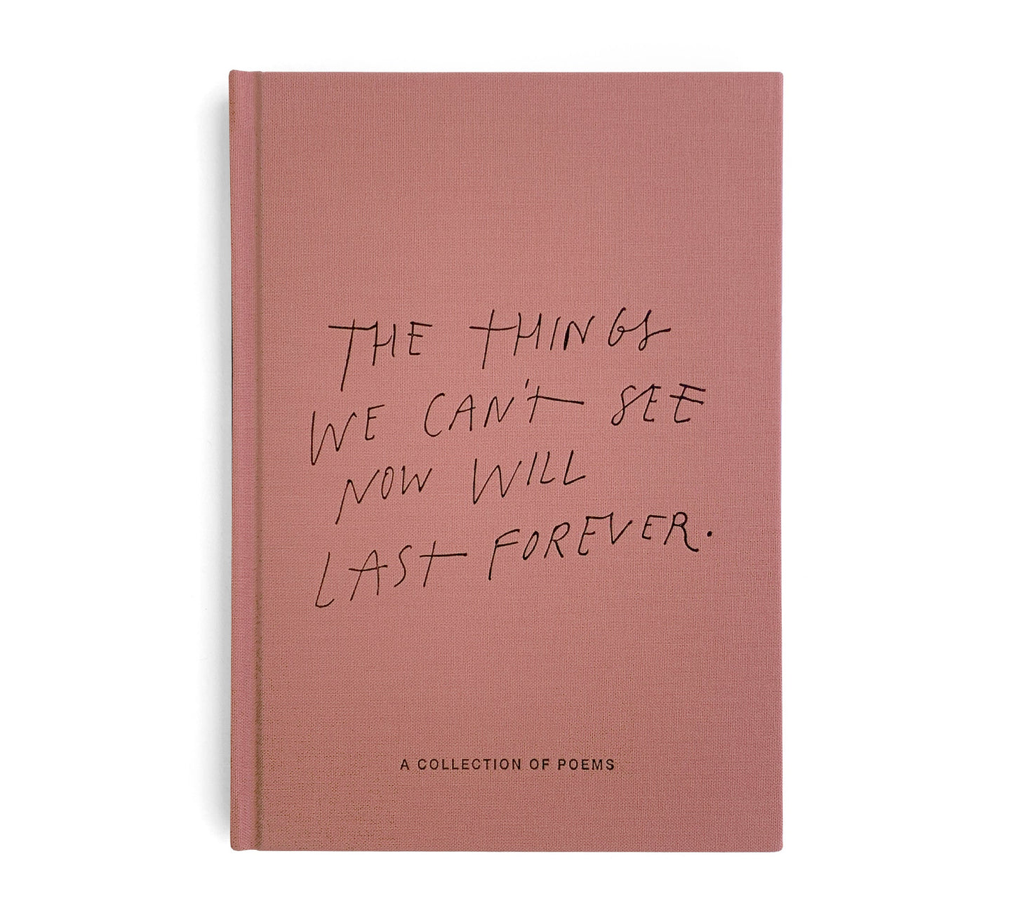 BLACKLIST // The Things We Can't See Now Will Last Forever BOOK