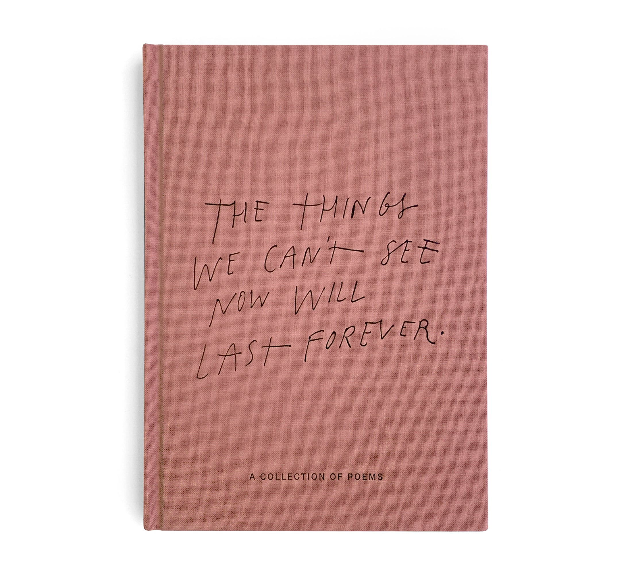 BLACKLIST // The Things We Can't See Now Will Last Forever BOOK