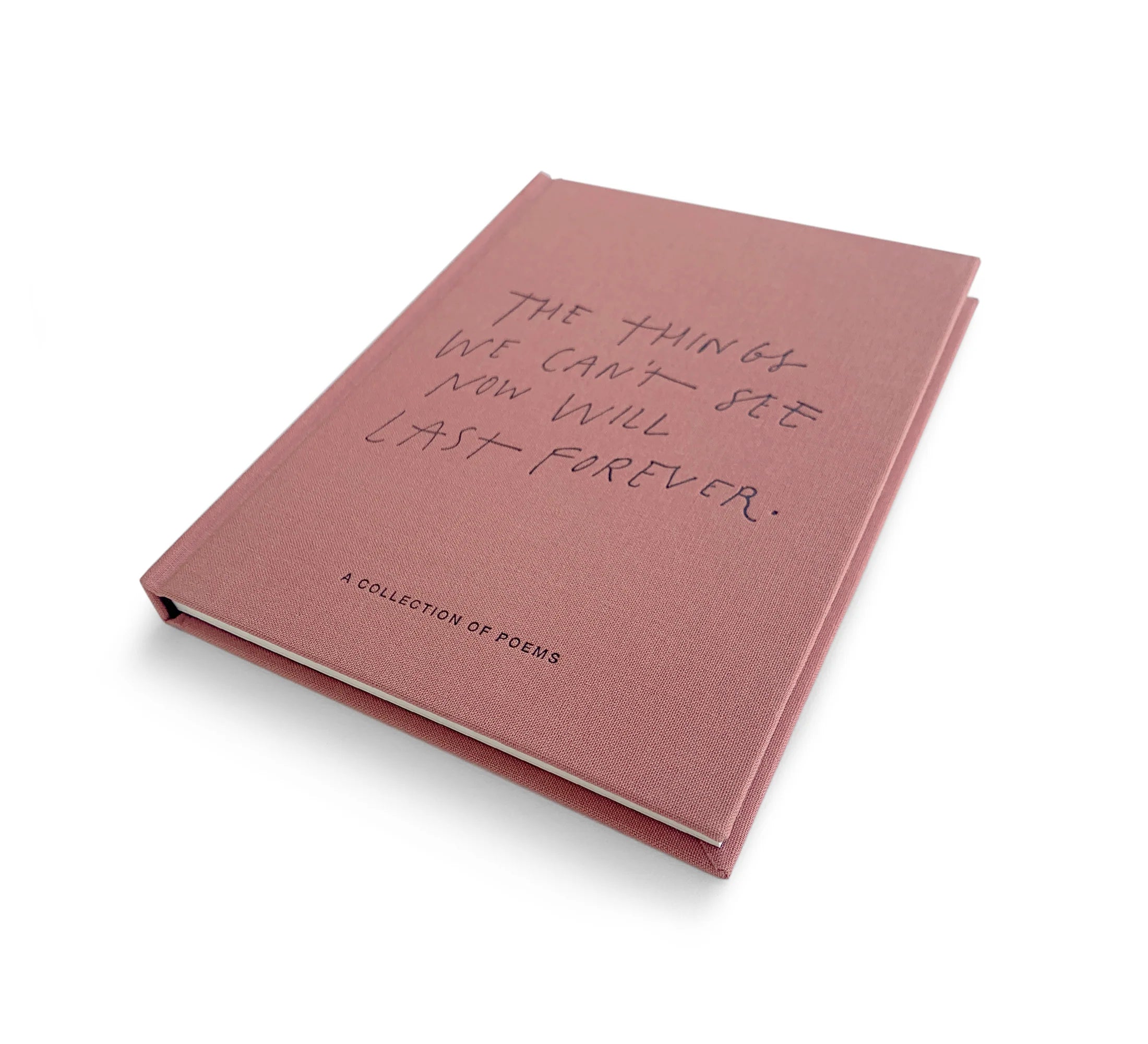 BLACKLIST // The Things We Can't See Now Will Last Forever BOOK