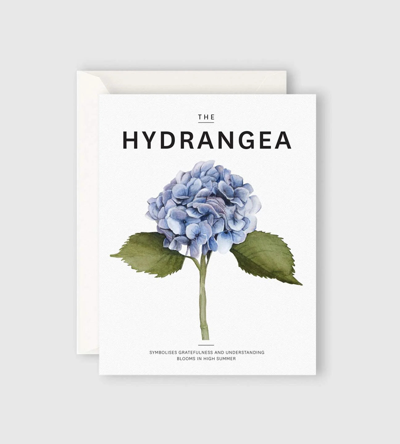 FATHER RABBIT // The Hydrangea Card