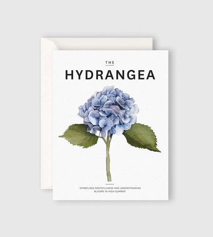 FATHER RABBIT // The Hydrangea Card