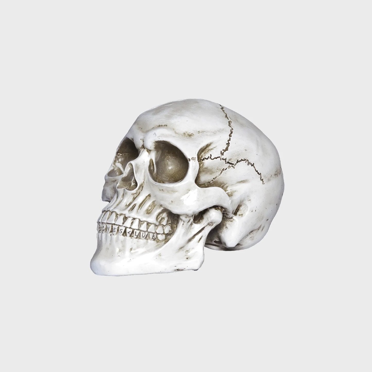 BILLY BONES // William B Skull WHITE